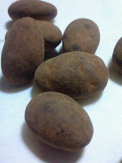 200904092302001.jpg