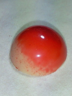 201001292153001.jpg