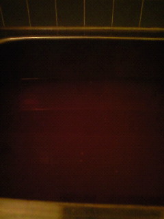 201002252021000.jpg