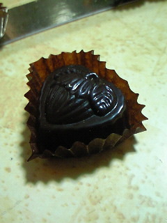 201202082259000.jpg