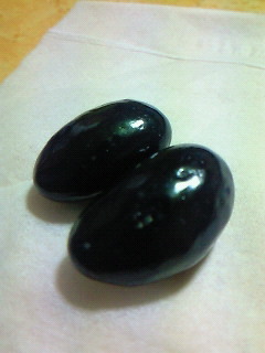 201202111738001.jpg