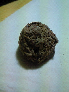 201402272258001.jpg