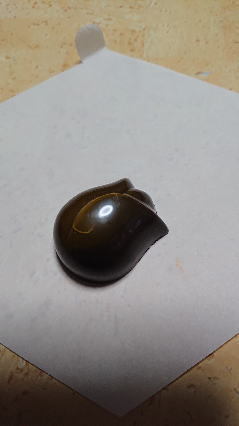20200119-7.jpg