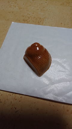 20200206-5.jpg