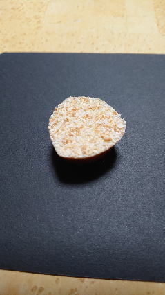 20200211-5.jpg