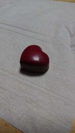 20200216-8.jpg
