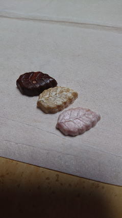 20200315-10.jpg