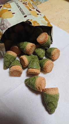 20200827-2.jpg
