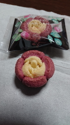 20201110-2.jpg