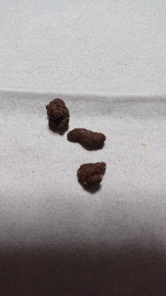 20210307-11.jpg